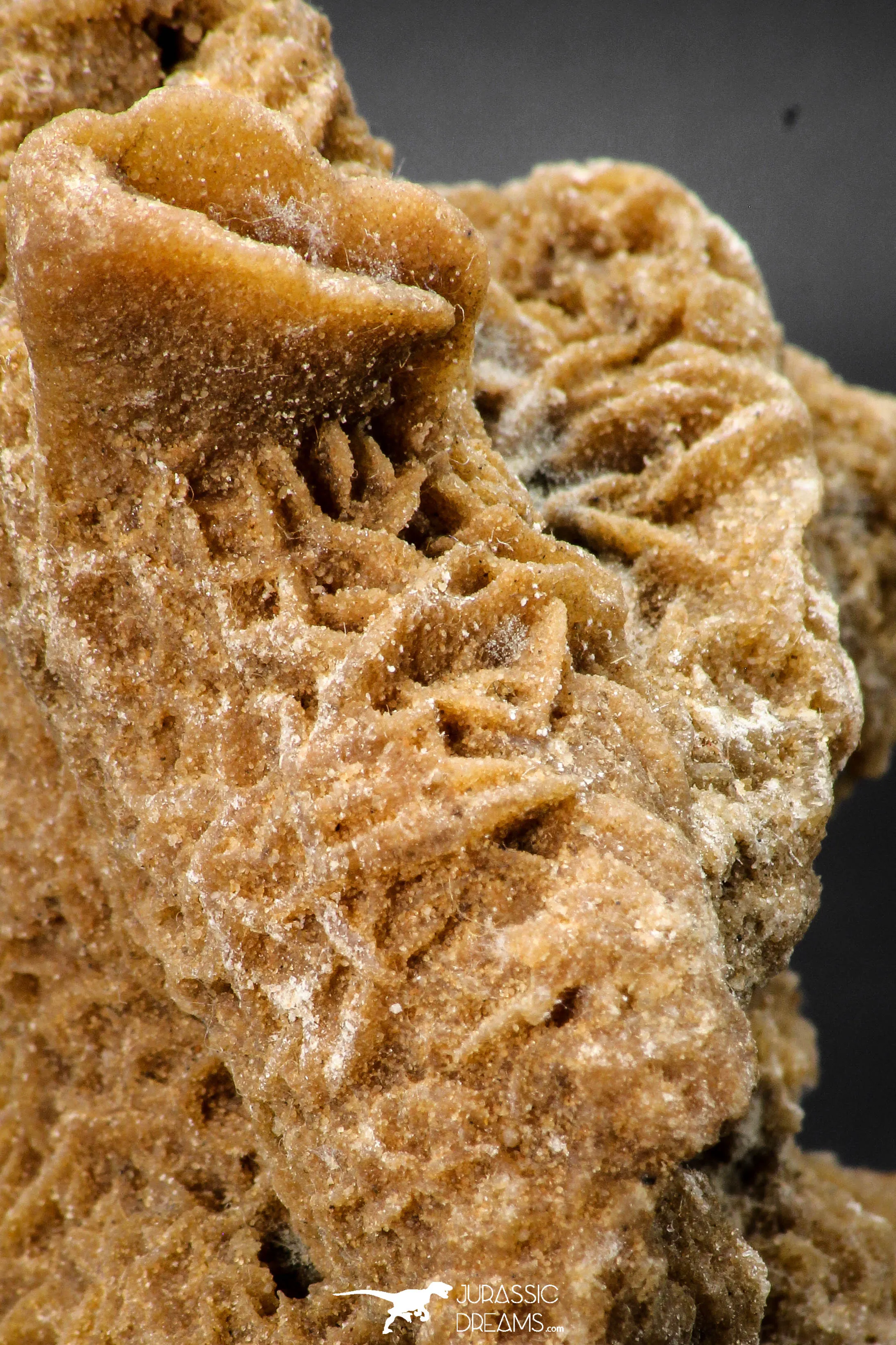 07944 - Top Beautiful 3.36 Inch Desert Rose (Selenite) - Sahara Desert