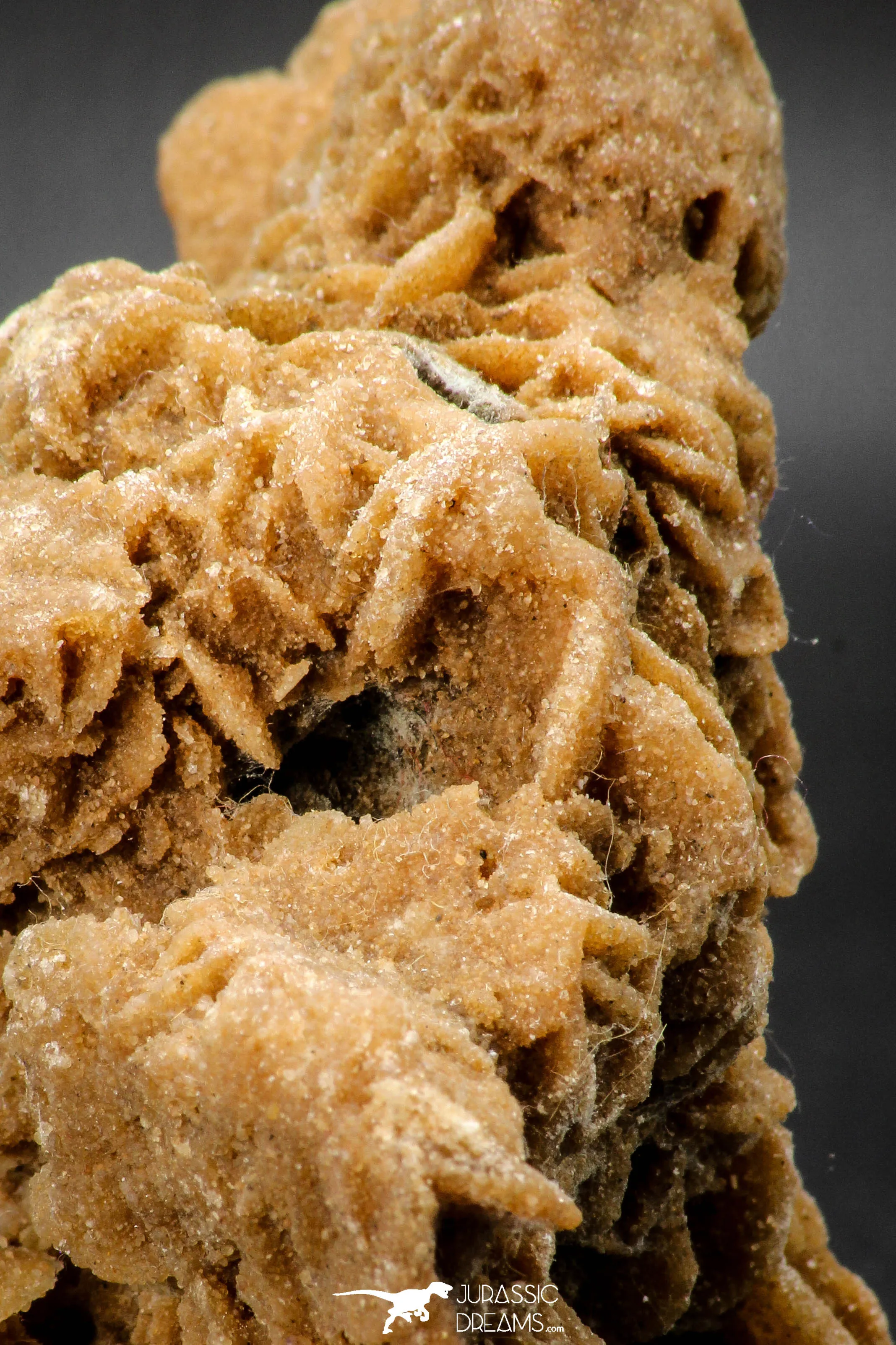 07944 - Top Beautiful 3.36 Inch Desert Rose (Selenite) - Sahara Desert