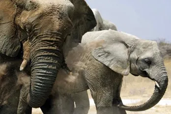 13 Day Best of Namibia Tour