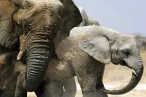 13 Day Best of Namibia Tour