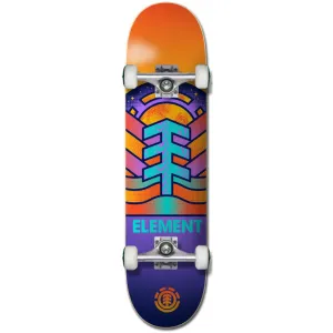 Adonis 7.75" Complete Skateboard