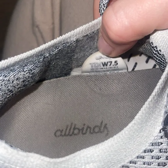 Allbirds Tree Dasher Sneakers