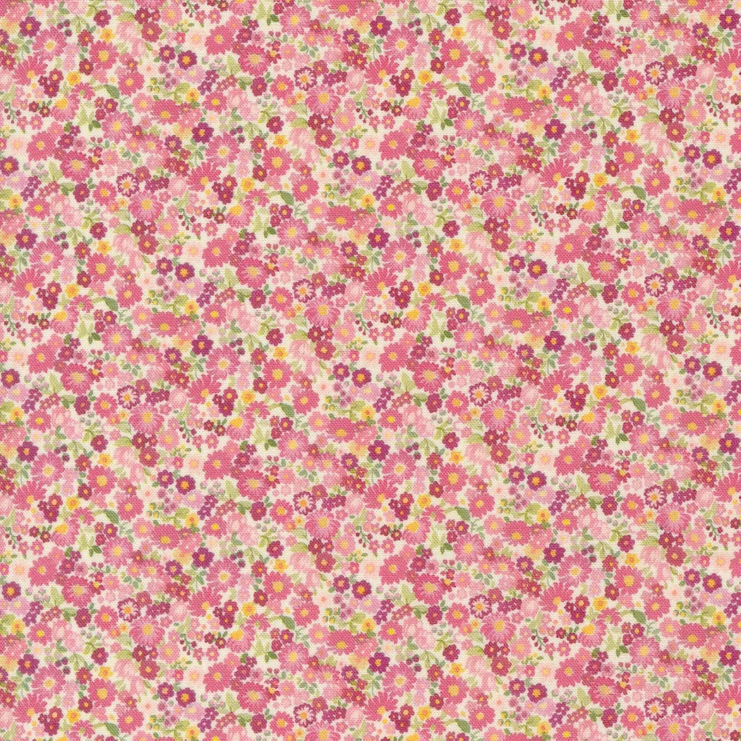 Chelsea Garden Galavanting Cameo Pink Fabric   33746 14