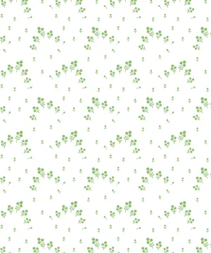 Chelsea - Green White