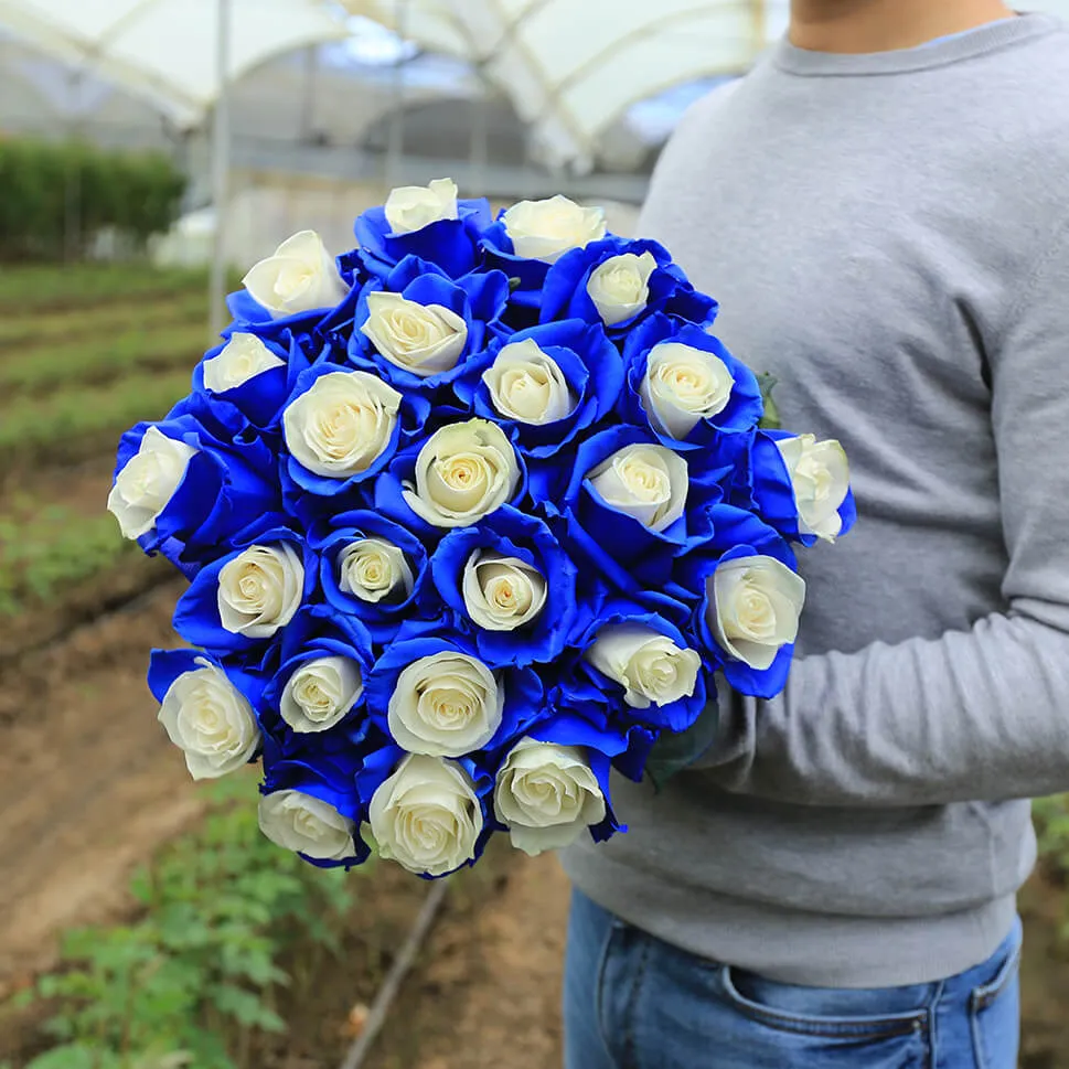 Chelsea Roses