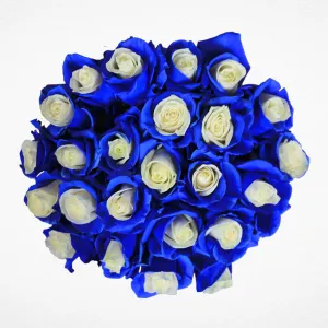 Chelsea Roses