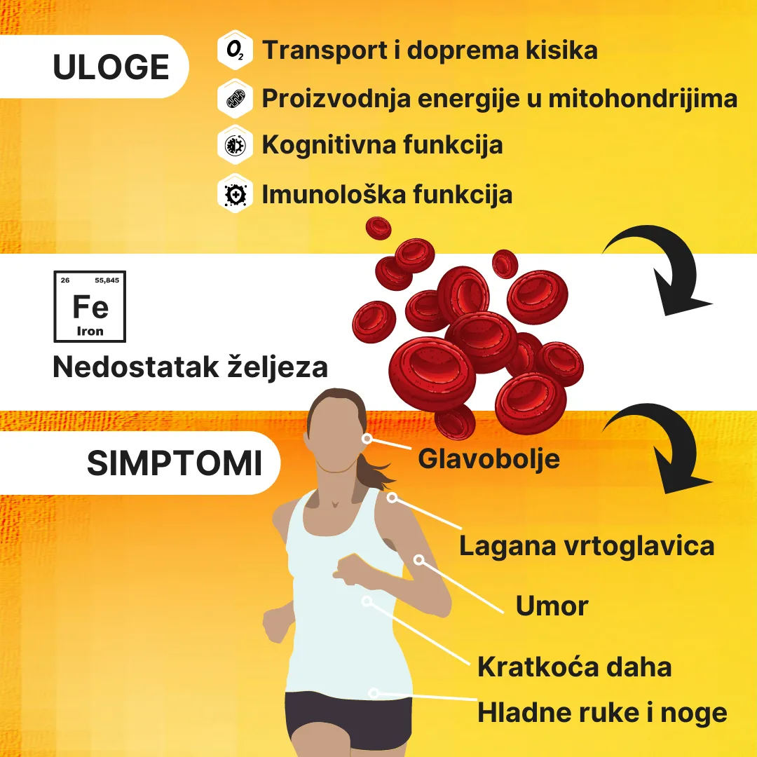 Željezo 