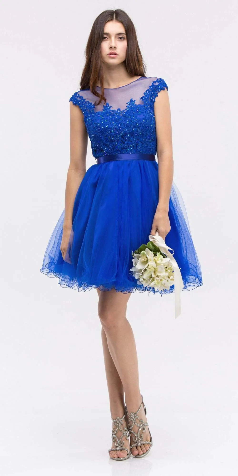 Eureka 3622 Cap Sleeve Lace Applique Bodice Dress