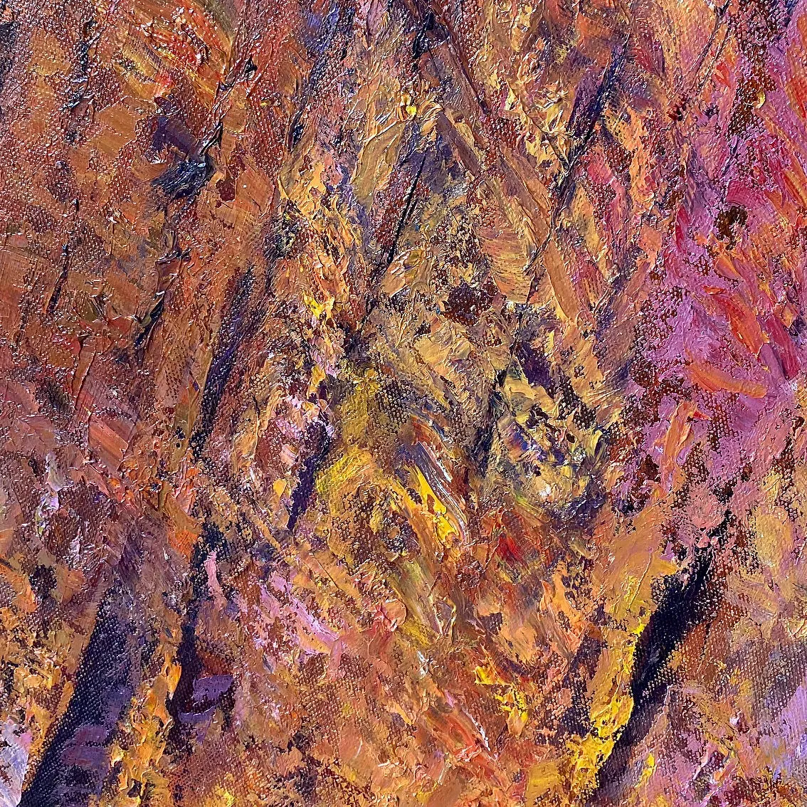 Grand Canyon, #742