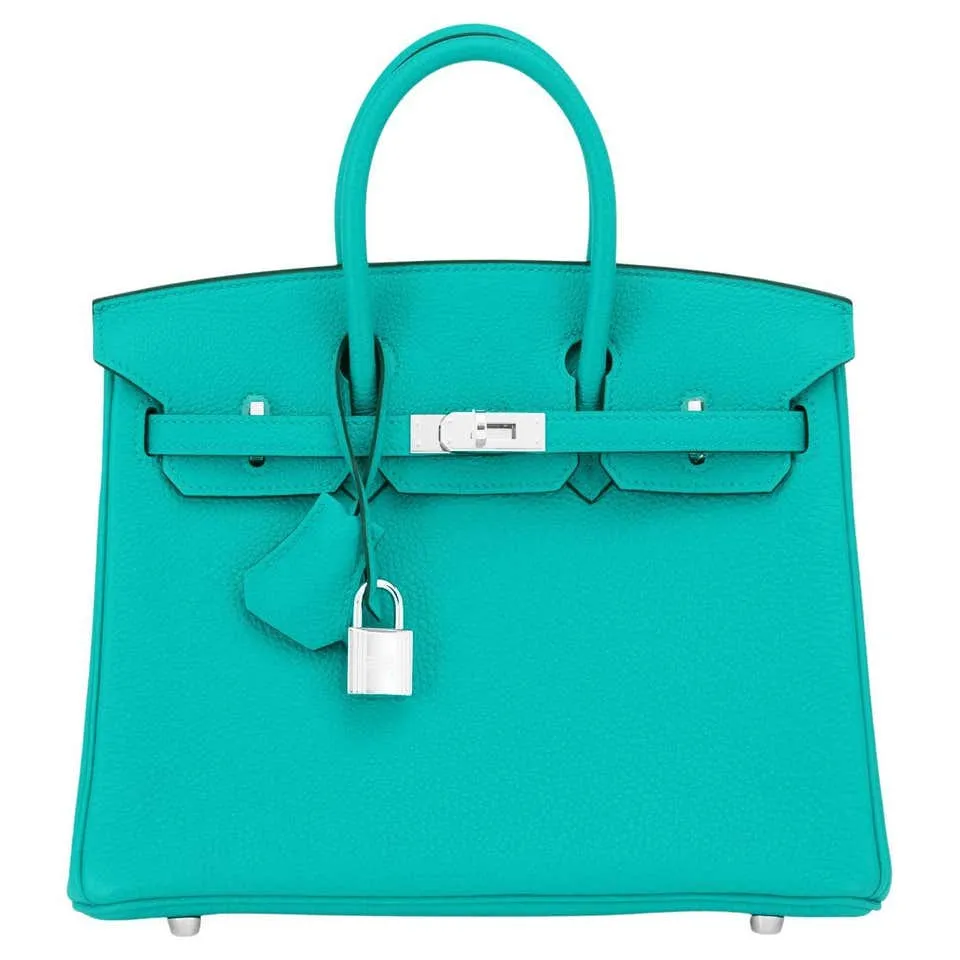 Hermes Birkin 25 Vert Verone Lagoon Blue Izmir Verso Togo Bag U Stamp, 2022
