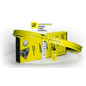 Panzer Aggressive 29" | Aggressive Enduro/Downhill